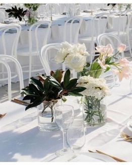 white bentwood chair hire auckland